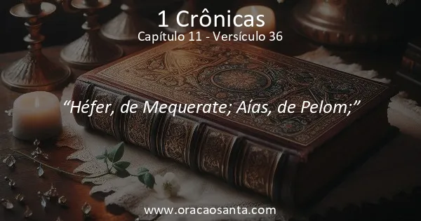 1 Crônicas 11:36