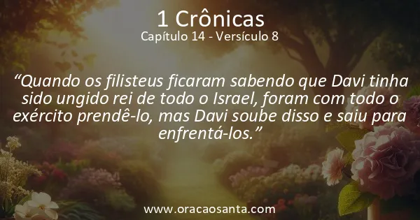 1 Crônicas 14:8