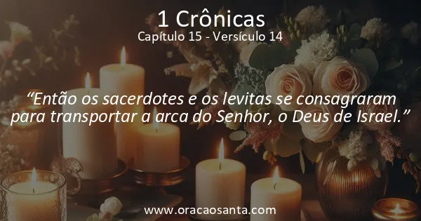 1 Crônicas 15:14