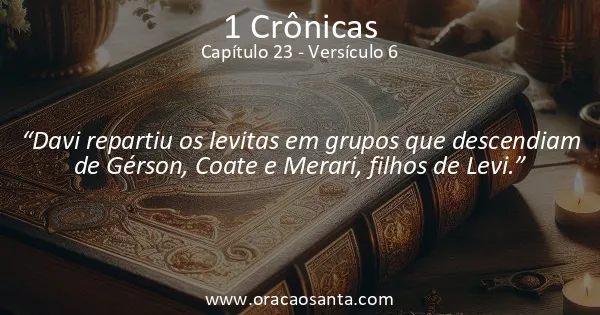 1 Crônicas 23:6