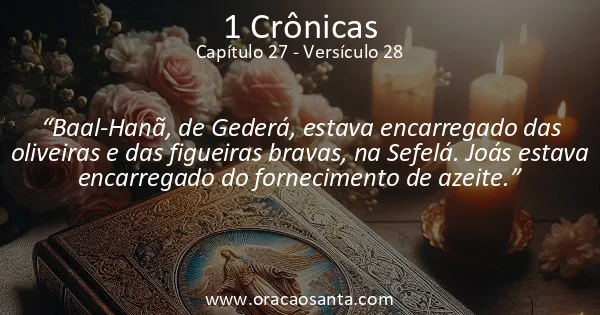 1 Crônicas 27:28