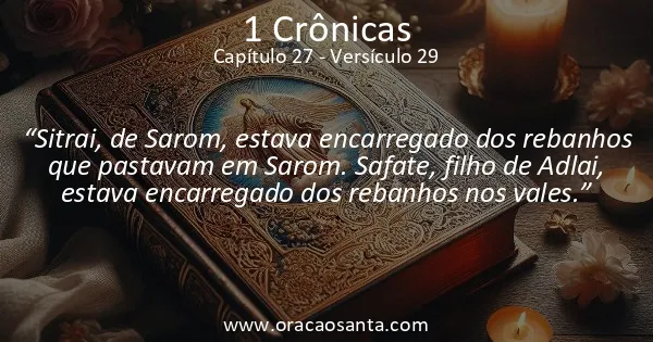 1 Crônicas 27:29