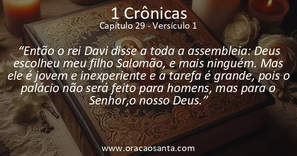 1 Crônicas 29:1