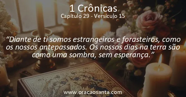 1 Crônicas 29:15