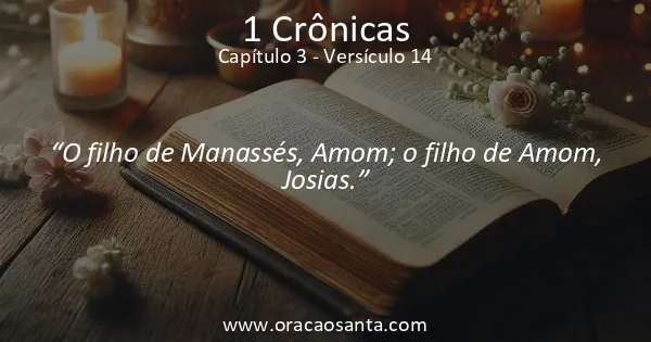 1 Crônicas 3:14