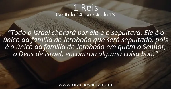 1 Reis 14:13