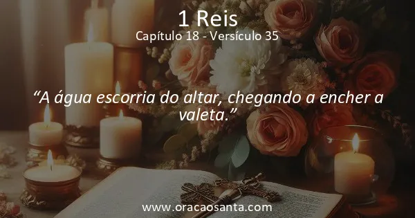 1 Reis 18:35