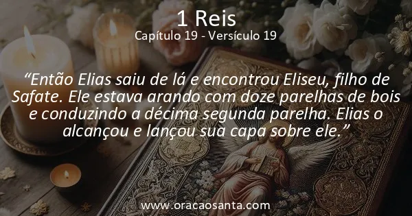 1 Reis 19:19