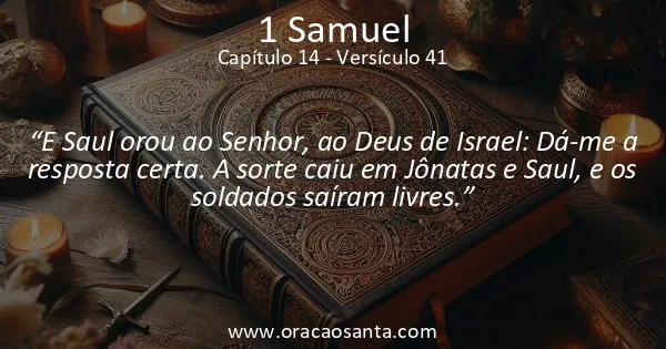 1 Samuel 14:41