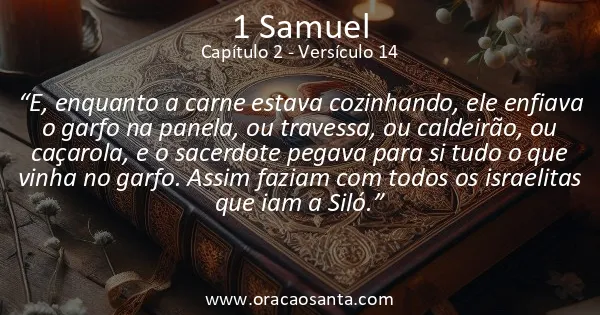 1 Samuel 2:14