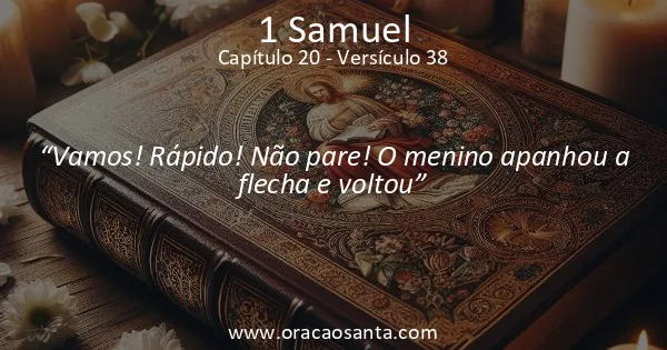 1 Samuel 20:38