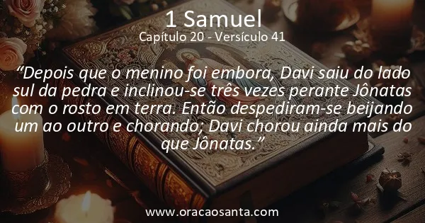 1 Samuel 20:41