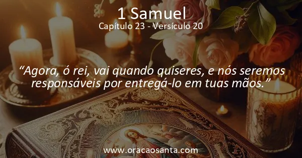 1 Samuel 23:20