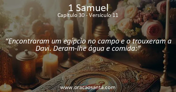 1 Samuel 30:11