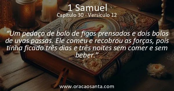 1 Samuel 30:12