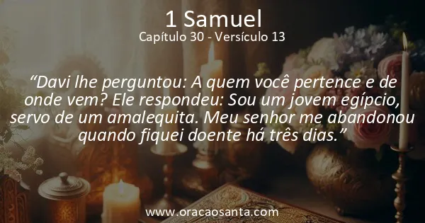 1 Samuel 30:13