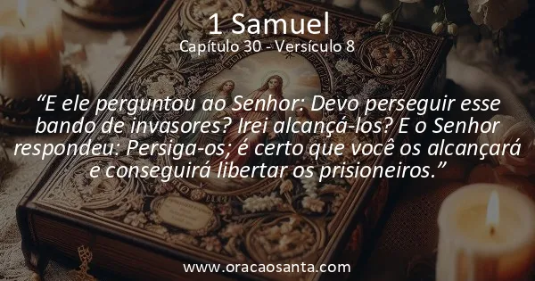 1 Samuel 30:8