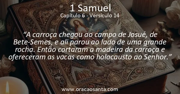 1 Samuel 6:14