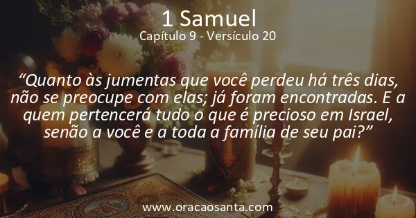 1 Samuel 9:20