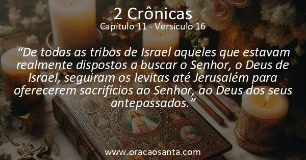2 Crônicas 11:16
