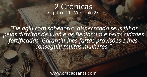 2 Crônicas 11:23