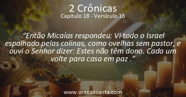 2 Crônicas 18:16