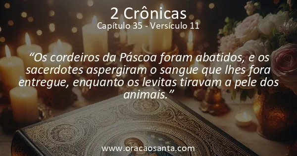 2 Crônicas 35:11