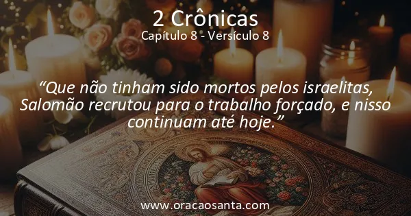 2 Crônicas 8:8
