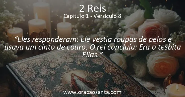 2 Reis 1:8