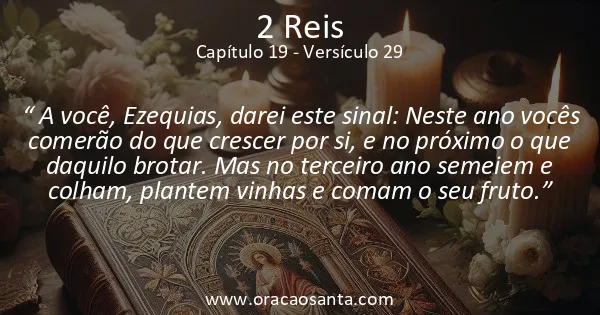 2 Reis 19:29