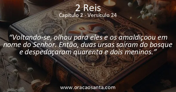 2 Reis 2:24
