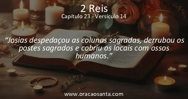 2 Reis 23:14