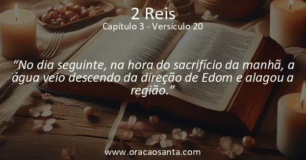 2 Reis 3:20