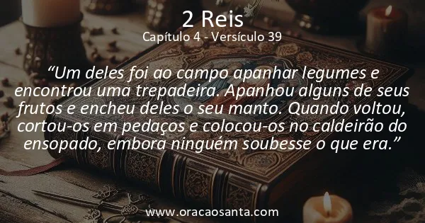 2 Reis 4:39