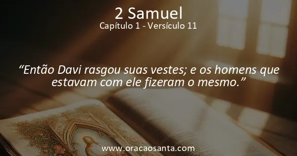 2 Samuel 1:11