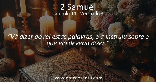 2 Samuel 14:3