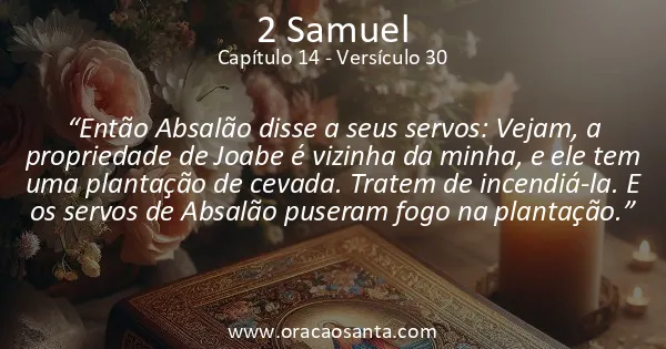 2 Samuel 14:30