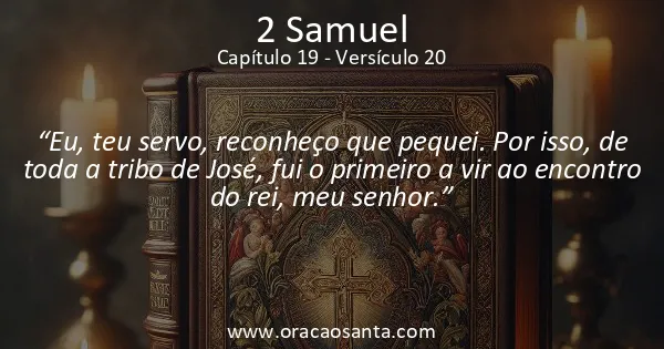 2 Samuel 19:20