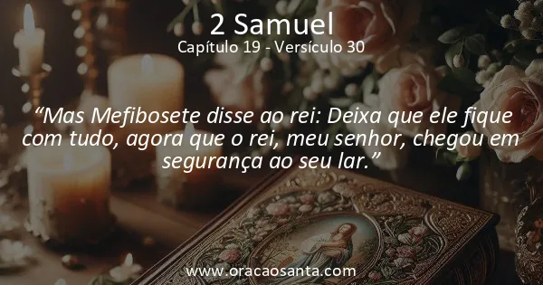 2 Samuel 19:30