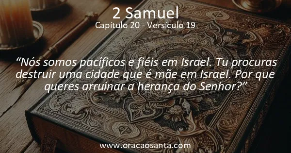 2 Samuel 20:19