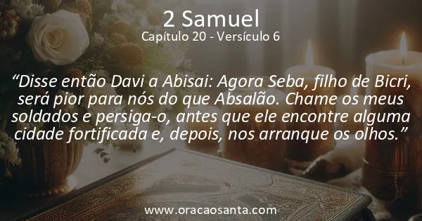 2 Samuel 20:6