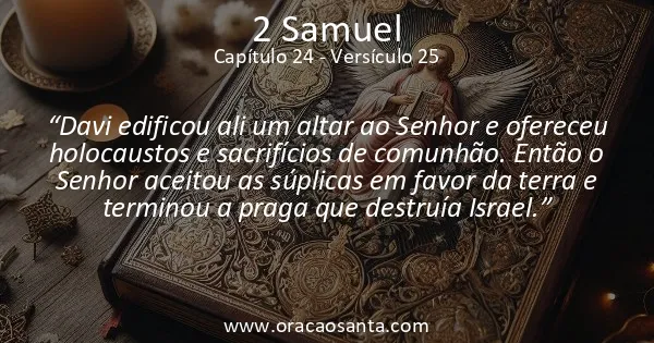 2 Samuel 24:25