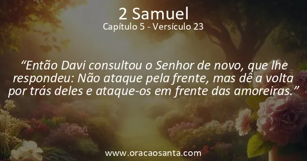 2 Samuel 5:23