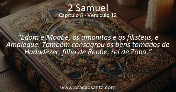2 Samuel 8:12