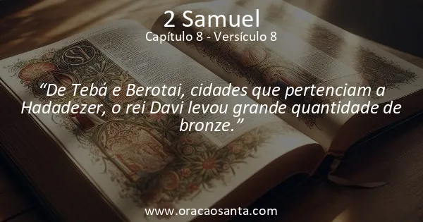 2 Samuel 8:8