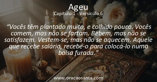Ageu 1:6