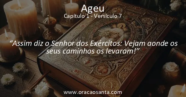 Ageu 1:7