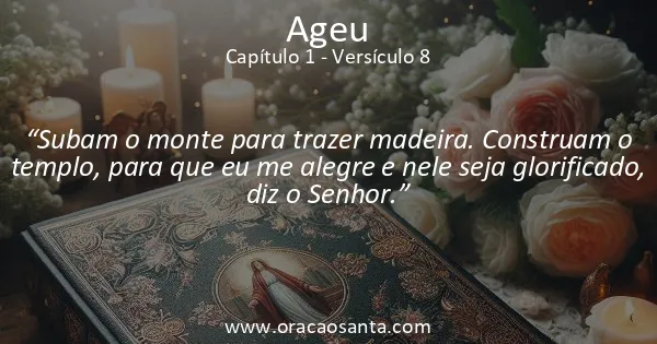 Ageu 1:8