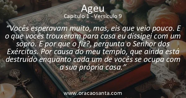 Ageu 1:9