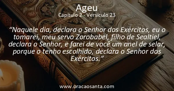 Ageu 2:23
